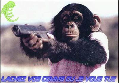 kome T de passage sur le blog prend le temps d'y laisser tes coms
